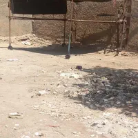بساطی