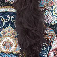 کلاه گیس