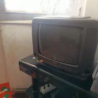 تلویزیون