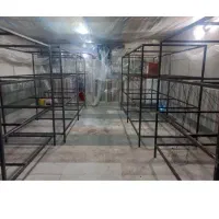 کار در کارگاه پرورش قارچ