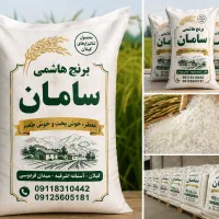 برنج هاشمی ممتاز کشت آستانه اشرفیه
