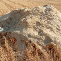 کاه درجه یک