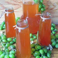 آبغوره طبیعی و خانگی
