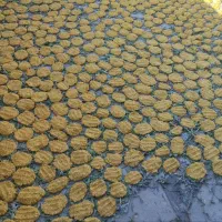 ترخینه