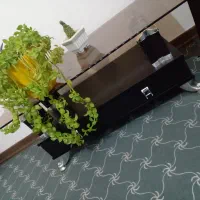 یک میز بزرگ و دو عدد میز عسلی