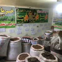 پایین ترین قیمت بالاترین کیفیت چای