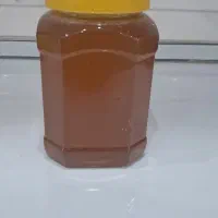عسل خار شتری