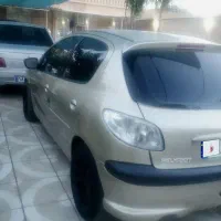 ۲۰۶تمیز درحد نو فرانسه