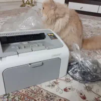 پرینتر ۱۱۰۲