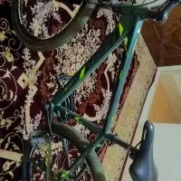 دوچرخه 26 تایگر