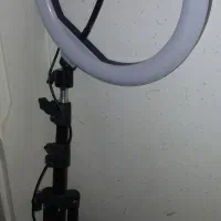 رینگ رایت