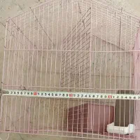 قفس|لوازم جانبی حیوانات|کرج, کلاک نو|دیوار