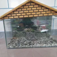 اکواریوم ماهی
