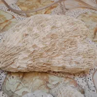صدف و سنگ مرجان برای اکواریوم