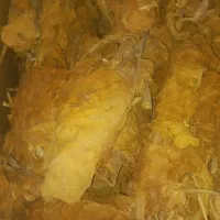 برگ زرد