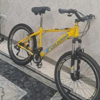 دوچرخ