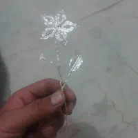 شاخه گل نقره