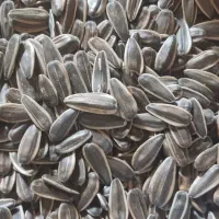 فر‌وش تخمه اس 400