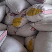 کاه سفید درجه یک تو شیلیف