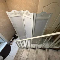 پاردیشن پاراوان