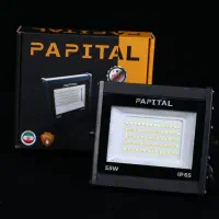 پرژکتور 55وات پاپیتال