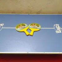 میز پینگ پنگ