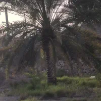 فروش-زمین-تجاری