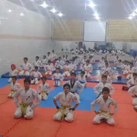 آموزش کیوکوشین کاراته