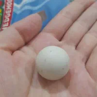 سنگ آسیاب