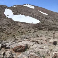 کود گوسفندی