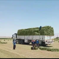 یونجه پرس
