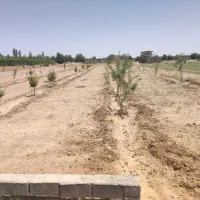 زمین-کشاورزی-جاده-کوچری