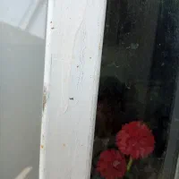 شراکت برای راه اندازی مغازه