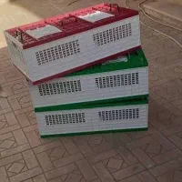 قفس راهکش ۲۰ تایی پلاستیکی