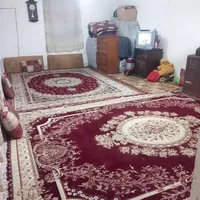 باغ بانی ونگهبانی