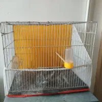 یک قفس ارزون