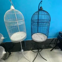 قفس فنچ ()