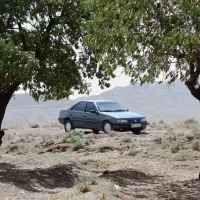 سواری پژو ۴۰۵