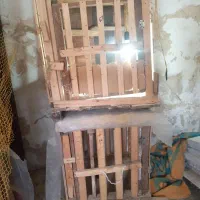 لونه