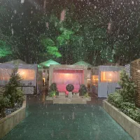 نیروی کار اقا