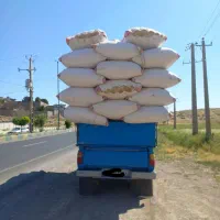 خرید و فروش کاه و یونجه
