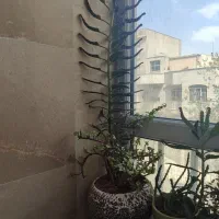 گلدان وگل طبیعی سیزده عدد