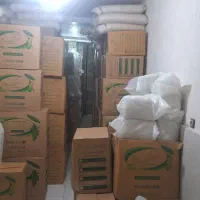 پخش ظروف یکبار مصرف گیاهی