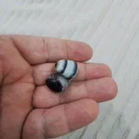 چهارجفت مهره خوب