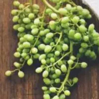 غوره تازه و محلی