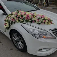 گل فروشی آنلاین گلگشت بیابانی