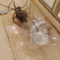 لوله بازکنی (اعتمادالبرز) هشتگرد کردان ۱۰۰٪تضمینی