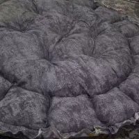 سیسمونی نوزاد و کودک اسپرت