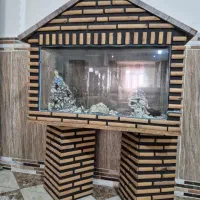 آکواریوم در حد شرکتی