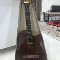 گیتار دیاموند